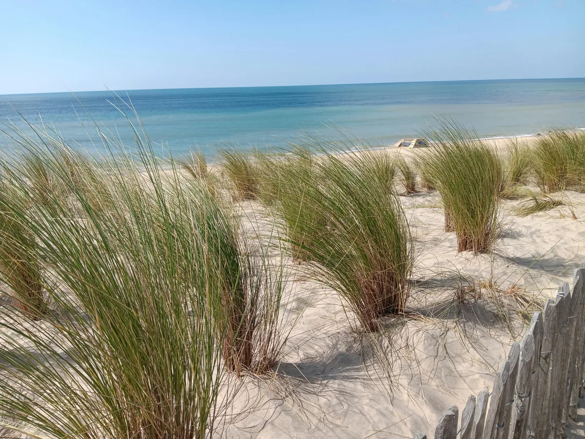 Truc Vert Beach, Lège-Cap-Ferret, Nouvelle-Aquitaine, France — 5