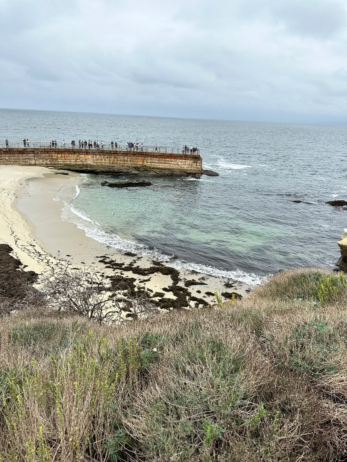 Children's Pool Beach, San Diego, California Coast, United States — 5