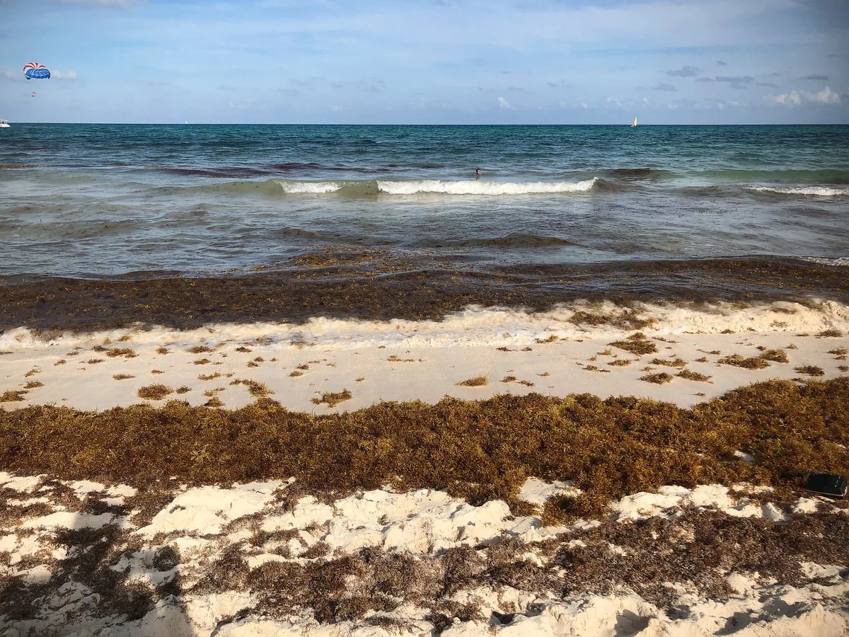Spiaggia di Paraíso, Tulum, Yucatan Caribbean, Messico — 3