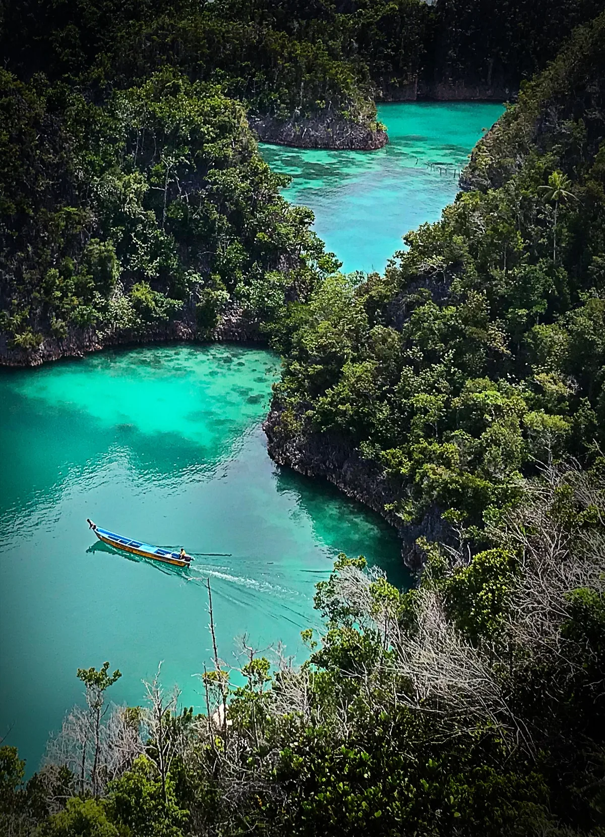 Pianemo Beach, Waigeo Barat Kepulauan, West Papua, Indonesia — 3