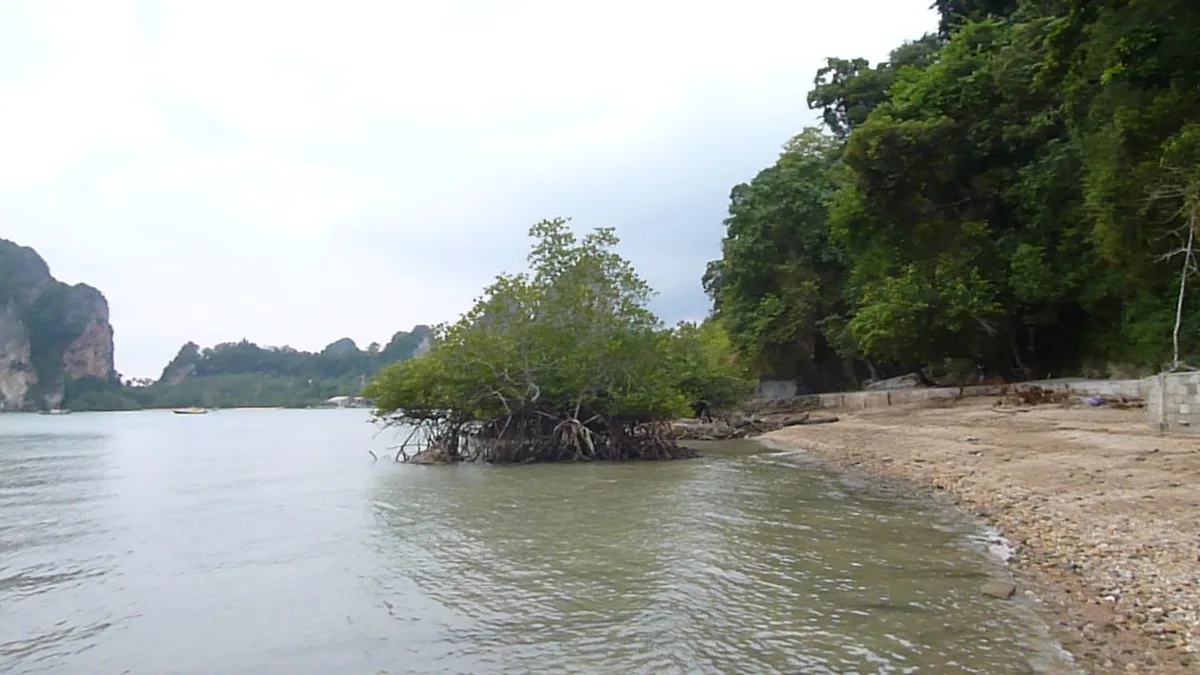Railay East Beach, Mueang Krabi, Andaman Sea Coast, Thailand — 5