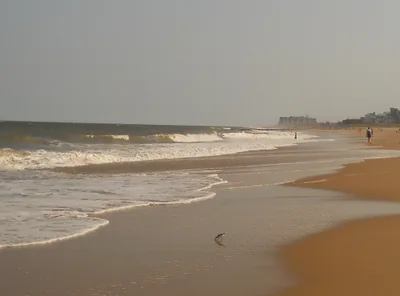 Gordons Pond Beach
