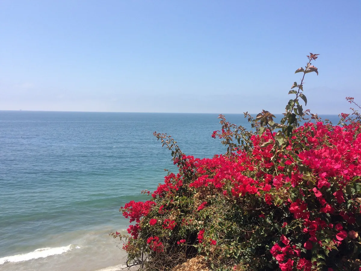 Summerland Beach, Summerland, California Coast, United States — 2