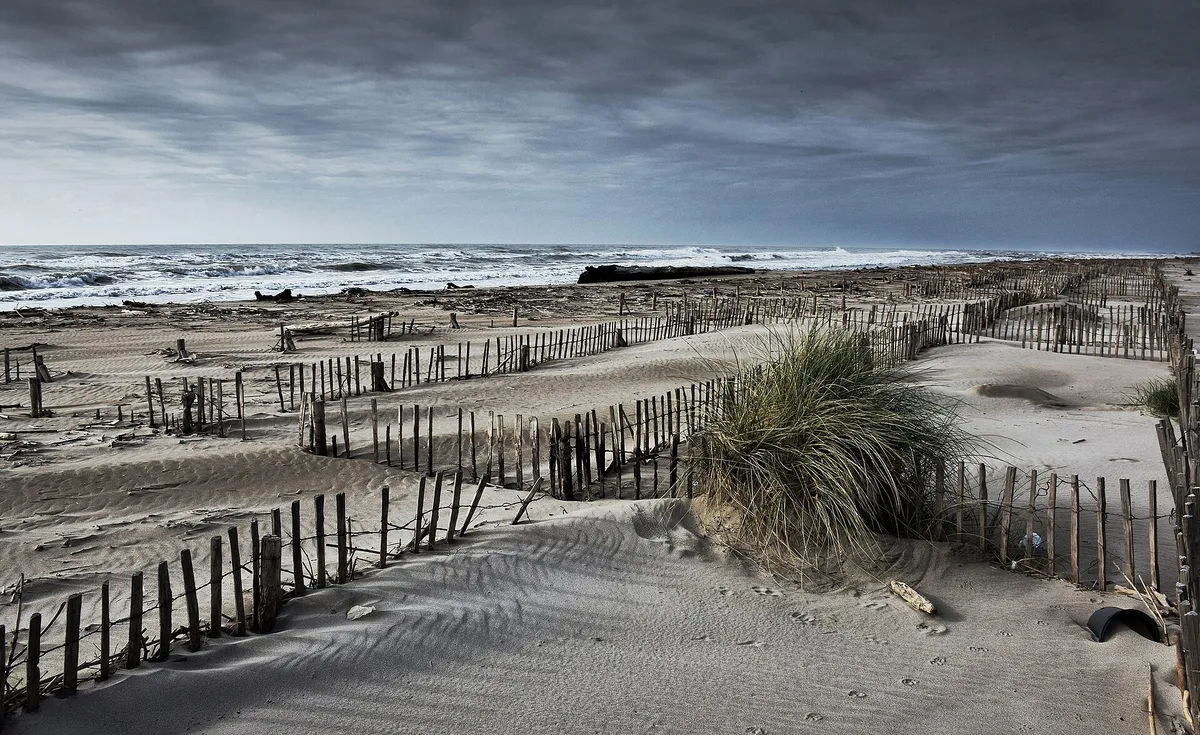 Piémanson – Plage d’Arles-strand, Arles, Provence-Alpes-Côte d'Azur, Frankrijk — 4