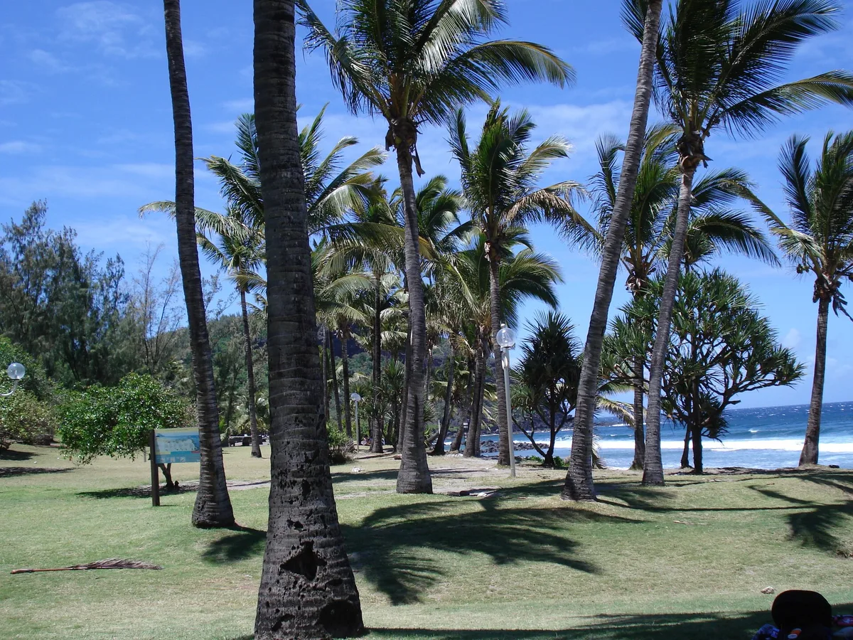 Grande Anse Beach, Petite-Île, Réunion, France — 4
