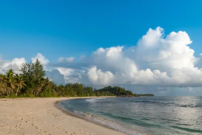 Anse Kerlan Beach