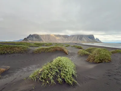 Stokksnes Beach
