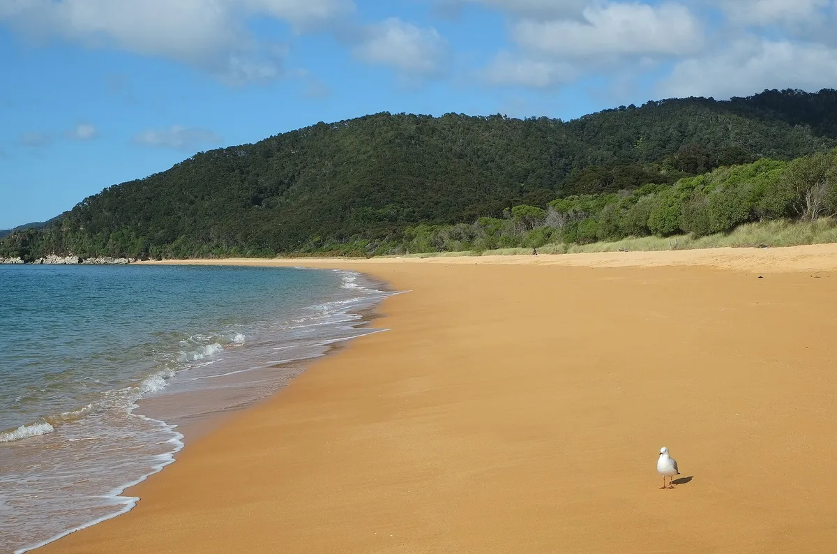 Playa de Tōtaranui — Goat Bay, Tasman District, Nelson-Tasman, Nueva Zelanda — 2