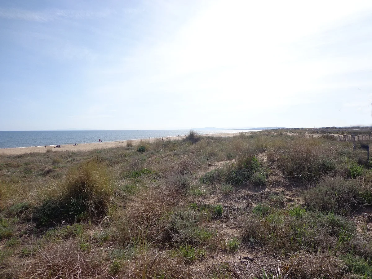 Bosquet Beach, Portiragnes, Occitanie, France — 4