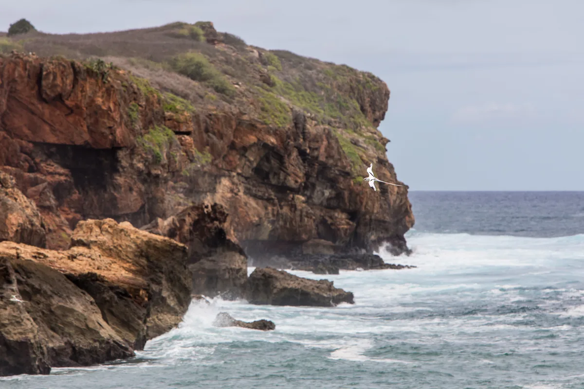 Māhāʻulepū Beach, Koloa, Hawaii, United States — 6