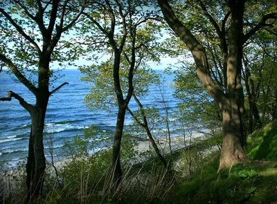 Pionersky-Strand, Baltic Sea, Russia — 4