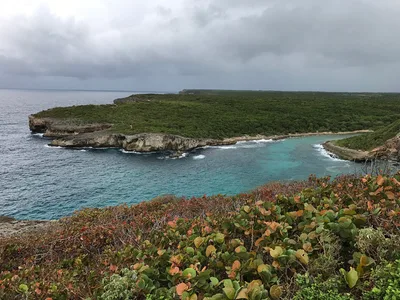 Anse Bertrand Beach