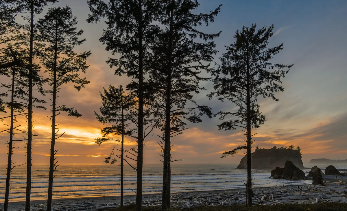 Ruby Beach, Jefferson County, Pacific Northwest, United States — 4