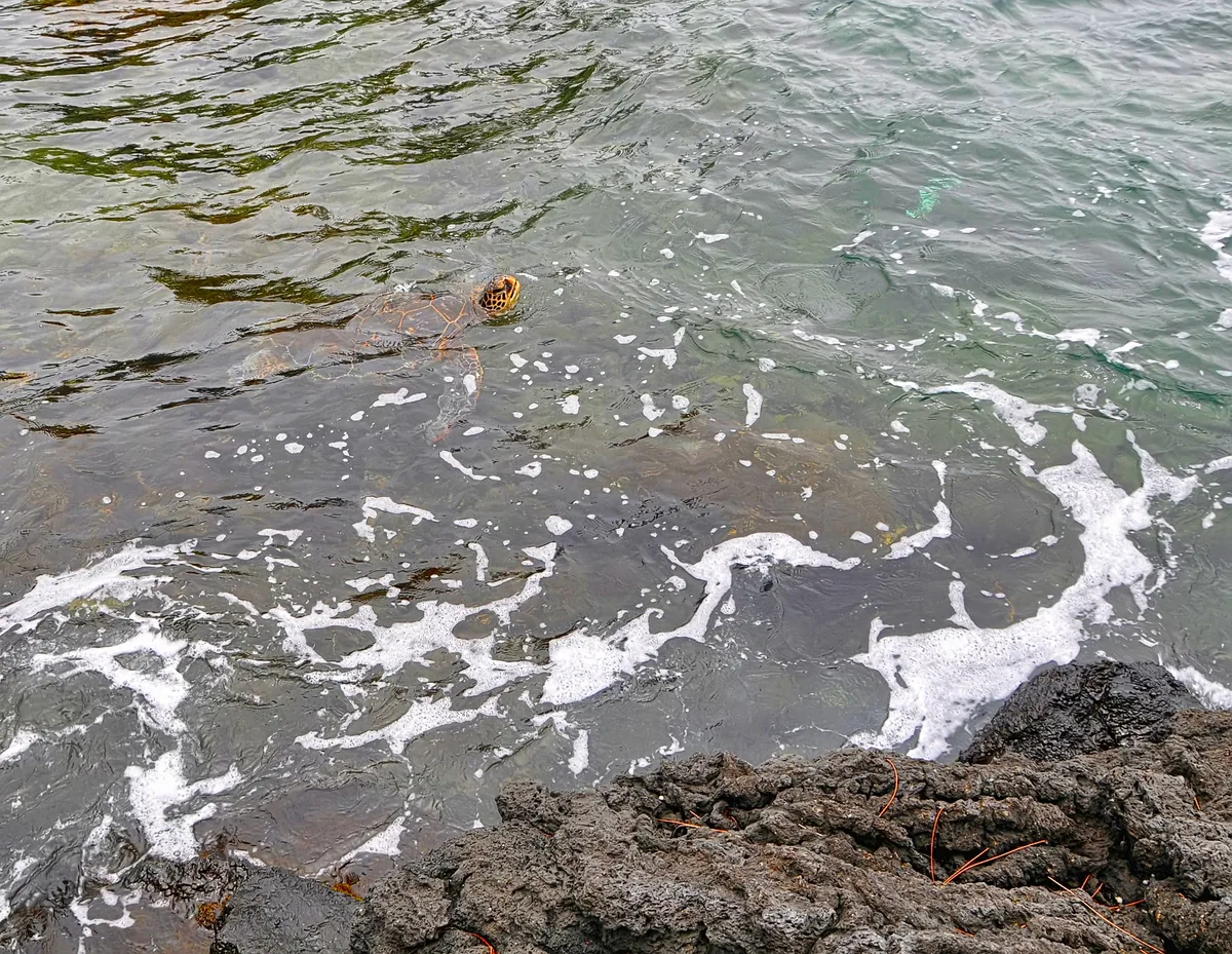 Leleiwi Beach Park, Hilo, Hawaii, United States — 6