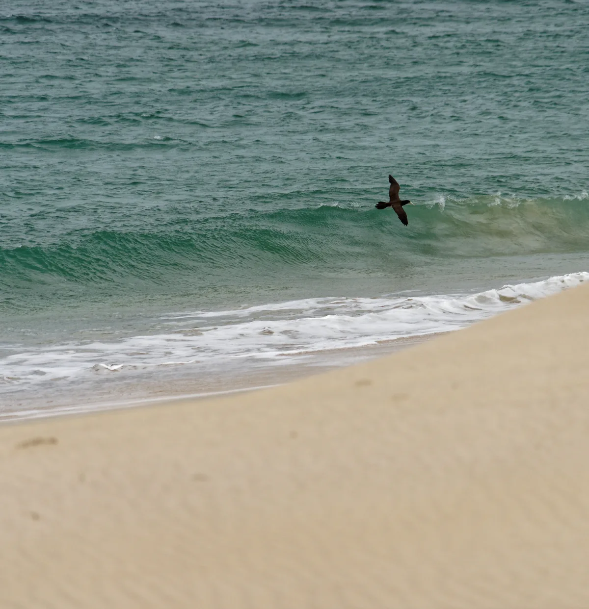 Varandinha-Strand, Boa Vista, Cape Verde, Kap Verde — 3