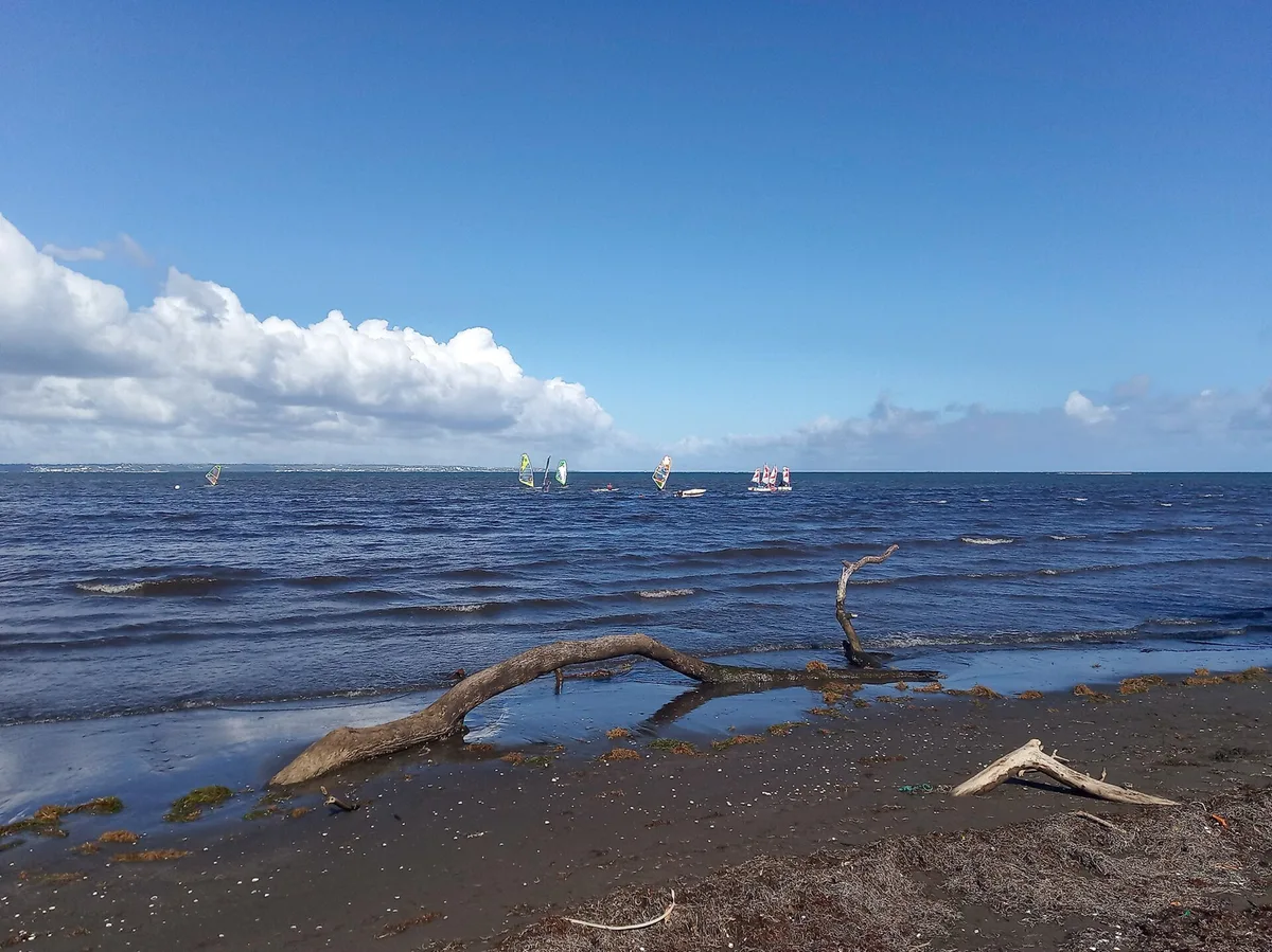 Caraïbe Beach, Pointe-Noire, Guadeloupe, France — 6