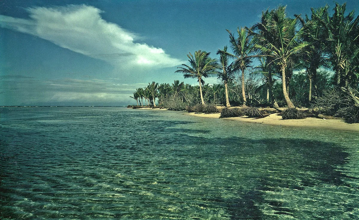 Caraïbe Beach, Pointe-Noire, Guadeloupe, France — 4