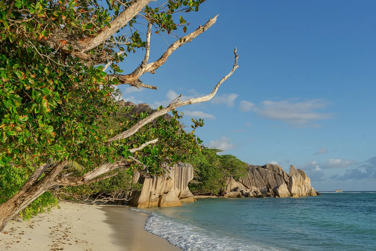 Anse aux Cèdres Beach, La Digue, Seychelles Inner Islands, Seychelles — 6