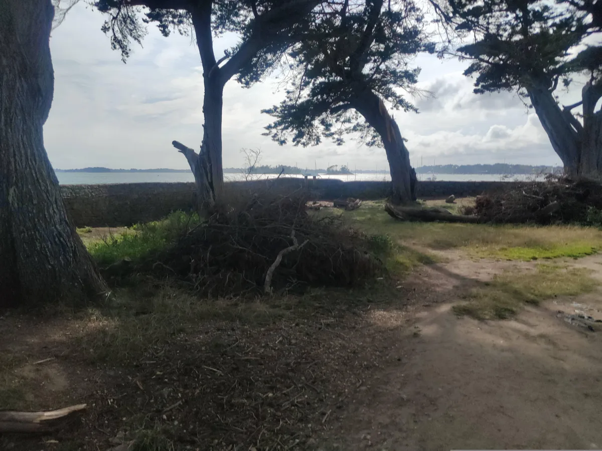 Plage de Penboc'h, Arradon, Bretagne, France — 4