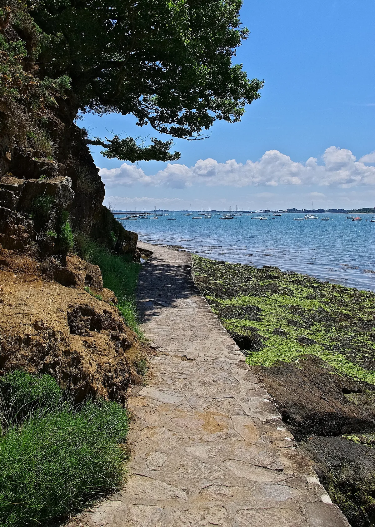 Plage de Penboc'h, Arradon, Bretagne, France — 2