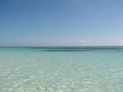 Michamvi Pingwe Beach