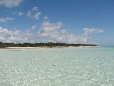 Michamvi Pingwe Beach, Michamvi, East African Coast, Tanzania — 3