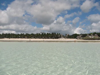 Michamvi Pingwe Beach, Michamvi, East African Coast, Tanzania — 2