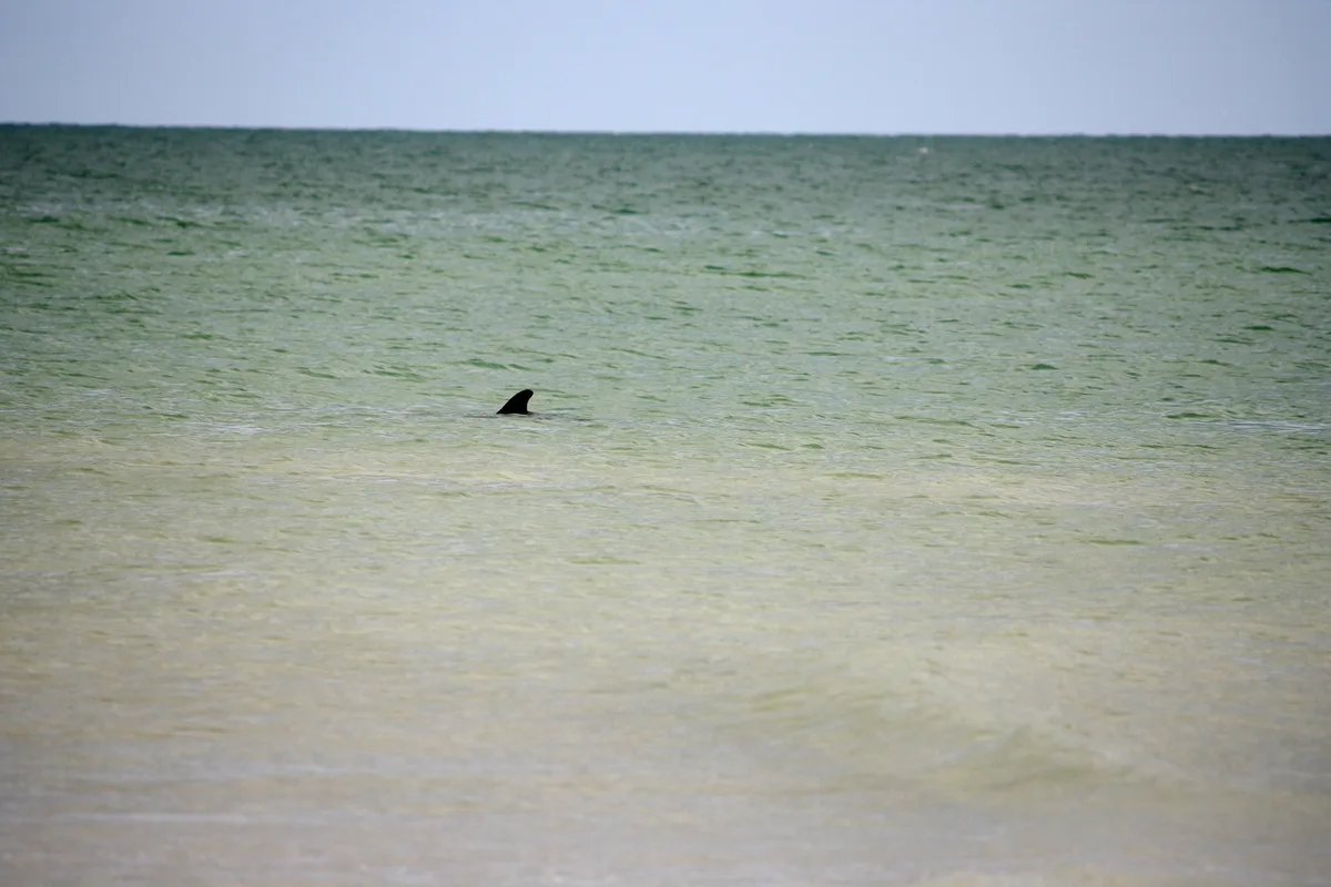 Bowman's Beach North Spit, Sanibel, Florida, United States — 2