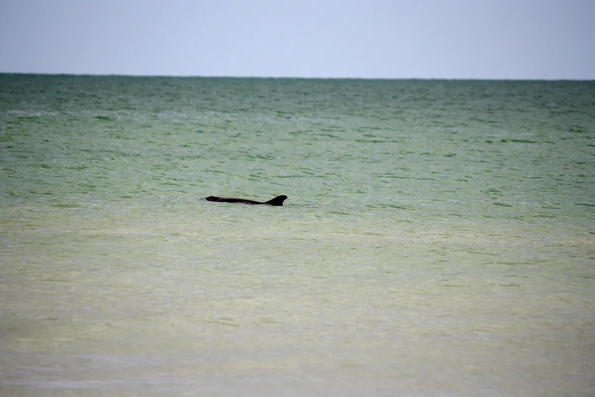Bowman's Beach North Spit, Sanibel, Florida, United States — 3