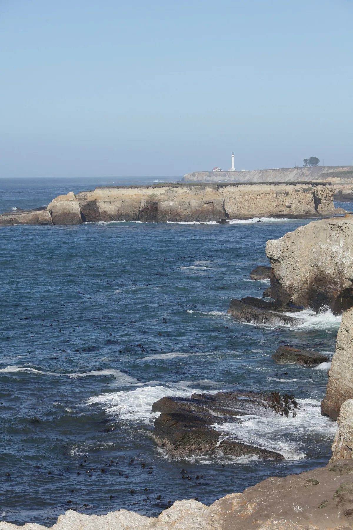 Stornetta Public Lands Beach, Point Arena, California Coast, United States — 2