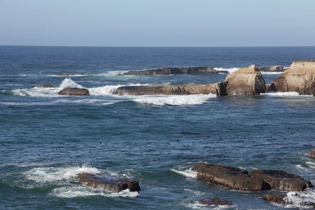 Stornetta Public Lands Beach, Point Arena, California Coast, United States — 4