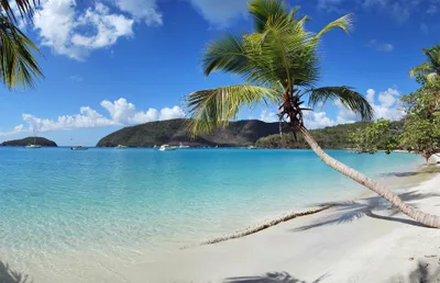 Maho Bay Beach
