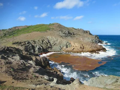 Anse de Colombier Beach, Gustavia, French Antilles, Saint-Barthélemy — 3