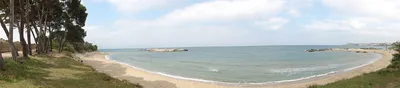 Les Muscleres Beach