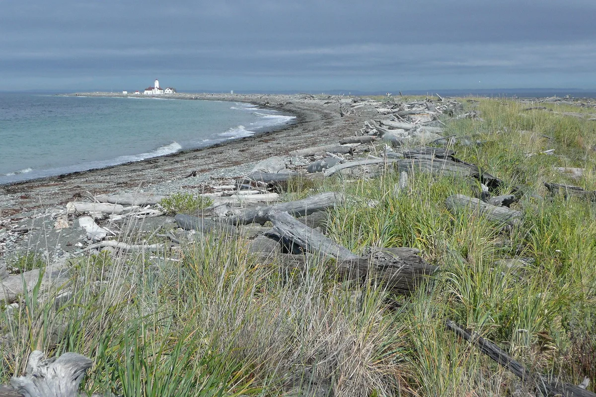 Dungeness Spit, Clallam County, Pacific Northwest, United States — 5