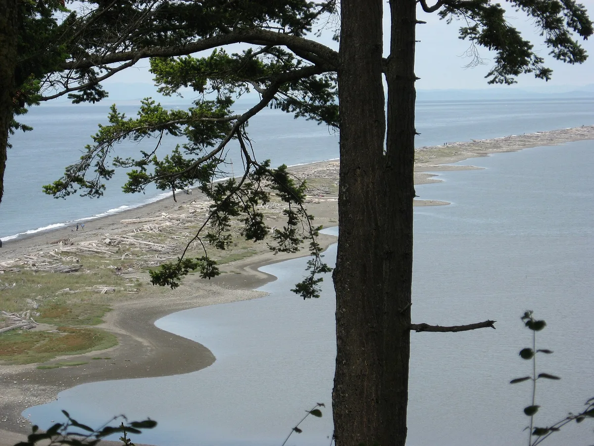 Dungeness Spit, Clallam County, Pacific Northwest, United States — 4