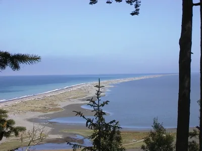 Dungeness Spit, Clallam County, Pacific Northwest, United States — 6