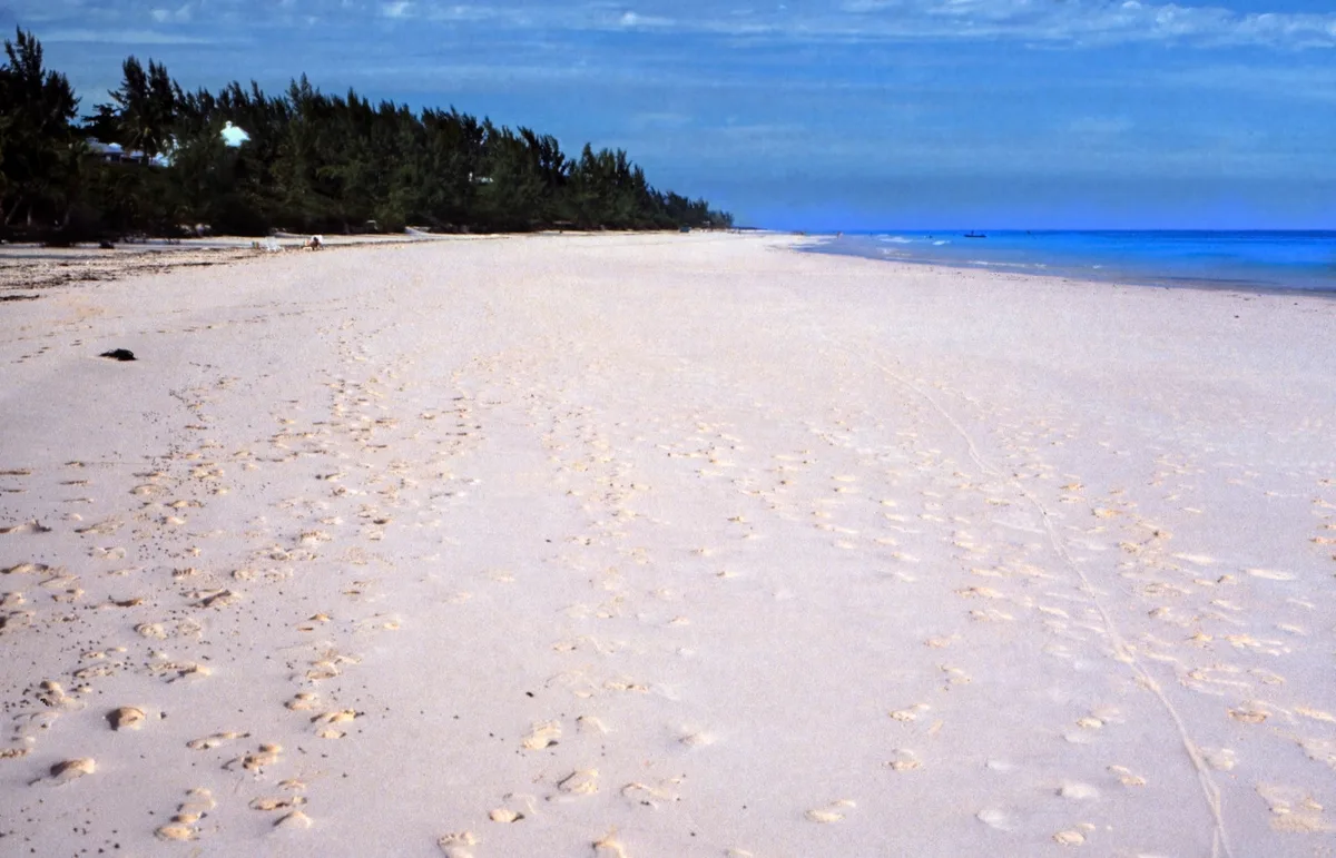 Pink Sand Beach, Dunmore Town, Lucayan Archipelago, Bahamas
