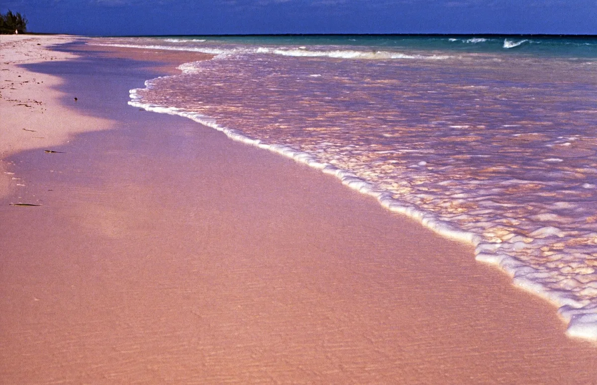 Pink Sand Beach, Dunmore Town, Lucayan Archipelago, Bahamas — 6