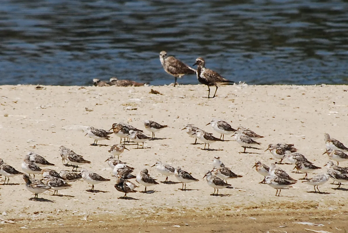 Malibu Lagoon State Beach, Malibu, California Coast, United States — 2
