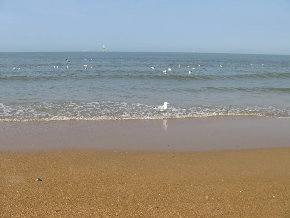 Knokke-Heist Beach, Knokke-Heist, North Sea Coast, Belgium — 3