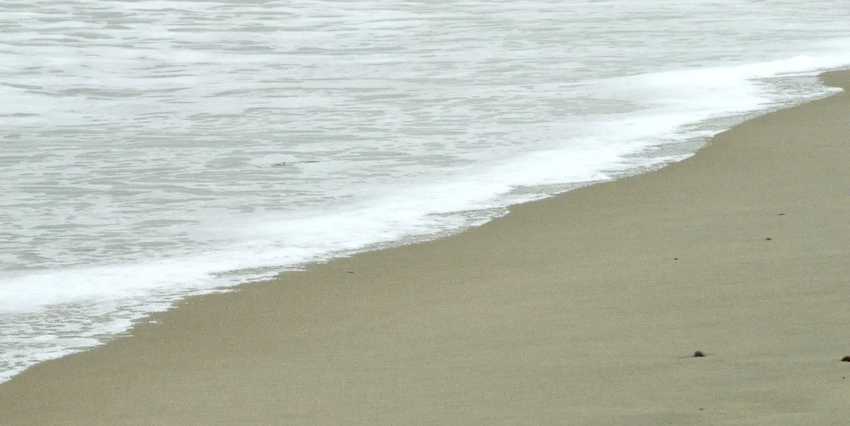 Knokke-Heist Beach, Knokke-Heist, North Sea Coast, Belgium — 6