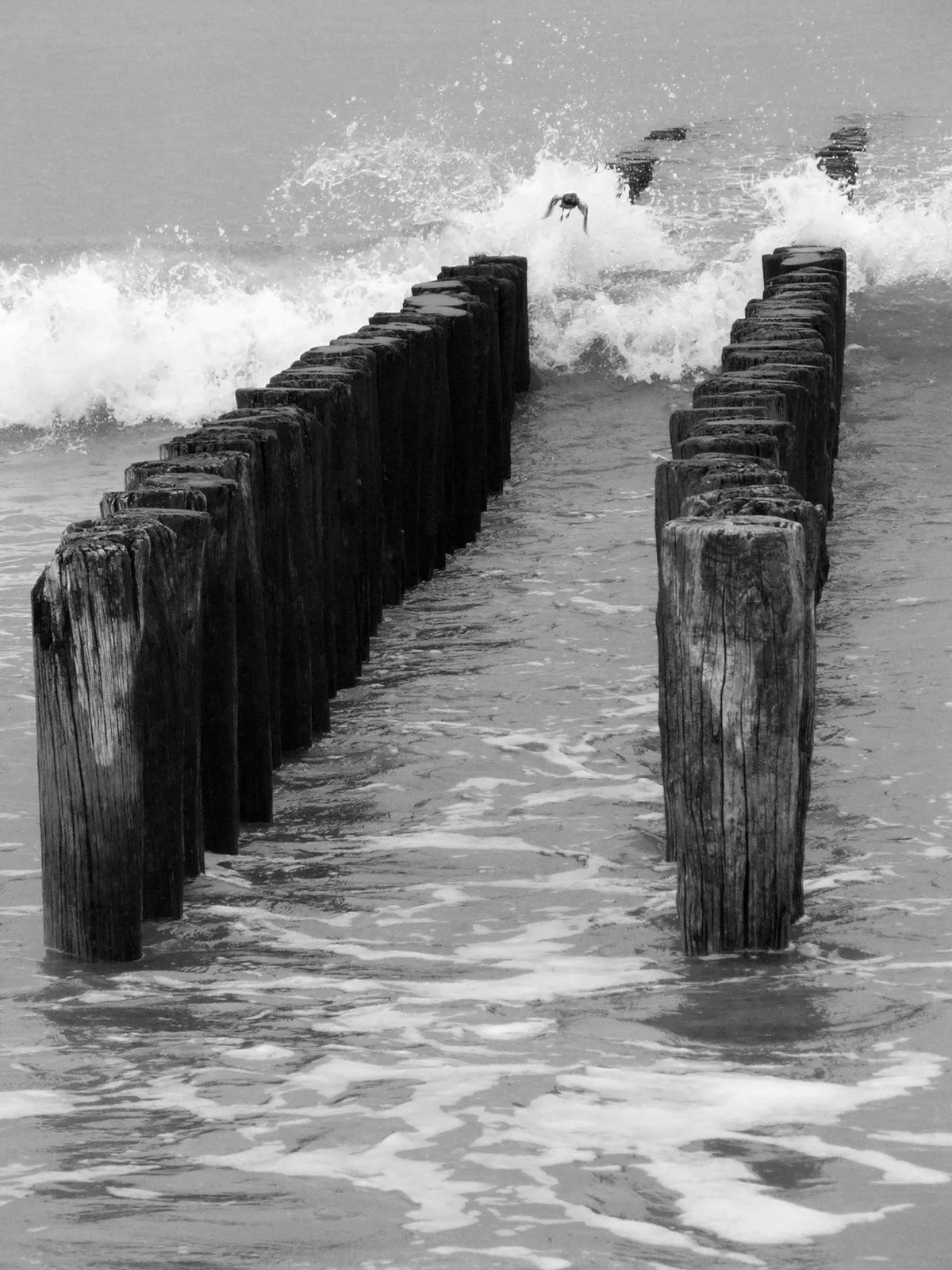 Knokke-Heist Beach, Knokke-Heist, North Sea Coast, Belgium — 2