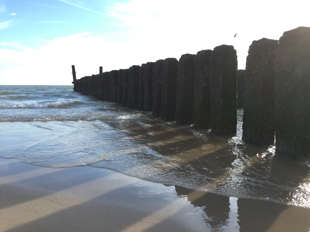 Zoutelande Beach, Veere, Zeeland, Netherlands — 4