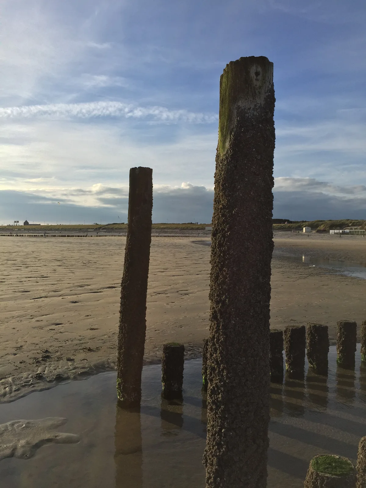 Zoutelande Beach, Veere, Zeeland, Netherlands — 3