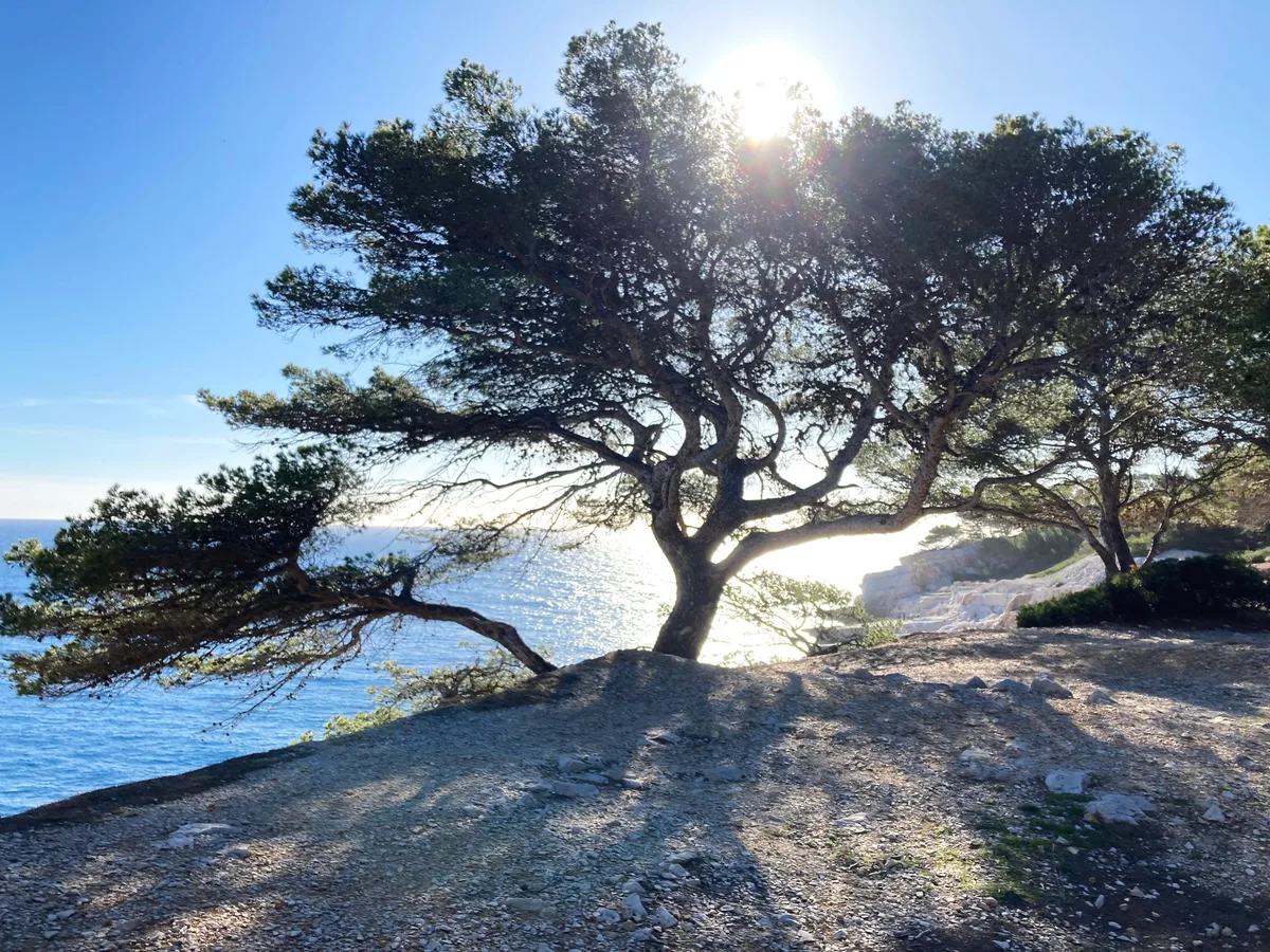 Plage Bleue Beach, Cassis, Provence-Alpes-Côte d'Azur, France — 6