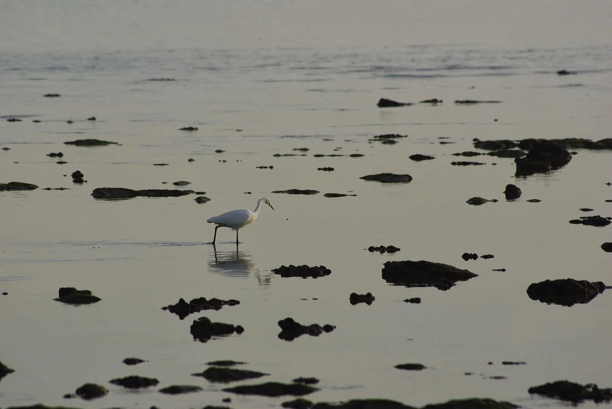 Luz-Strand, Rota, Andalusia, Spanien — 4