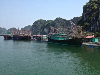 Cái Bèo Beach