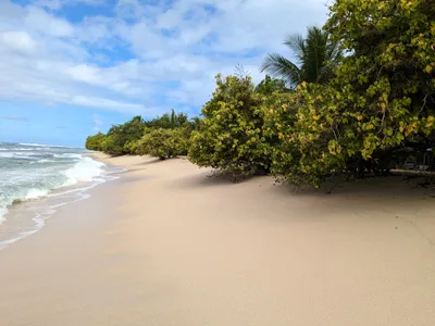 Souffleur Beach