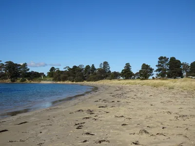 Swansea Beach